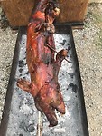 IMG_4652
