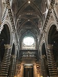 IMG_4770