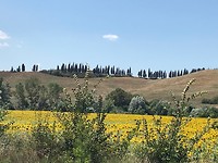IMG_4847