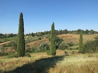 IMG_4836