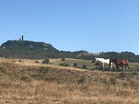 IMG_4926
