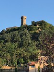 IMG_4949