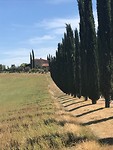 IMG_4913