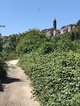 IMG_5153