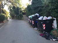 IMG_5182