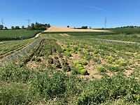 Landbouw, biologisch?