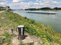 De Rijn