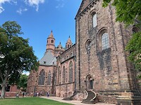 De Dom