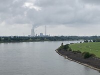 Rijn