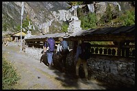 IMG0018