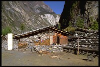 IMG0020
