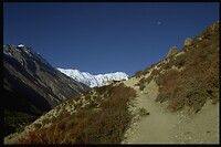 IMG0037