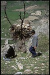 IMG0009