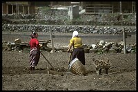 IMG0022