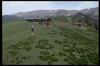 IMG0024