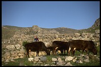 IMG0026