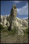 IMG0028