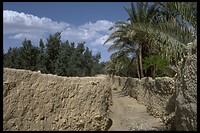 IMG0019