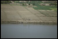 IMG0028