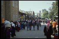 IMG0031