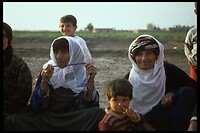 IMG0033