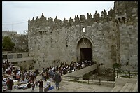 IMG0058