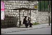 IMG0066