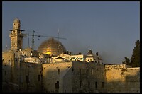 IMG0068