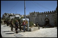 IMG0069