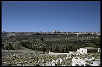 IMG0070