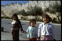 IMG0071