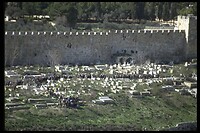 IMG0072