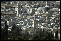 IMG0073