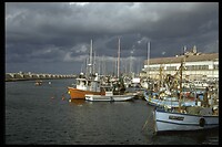 IMG0075
