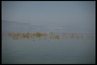 IMG0076