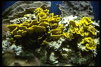 IMG0086