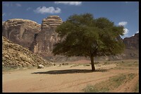 IMG0091