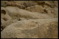 IMG0094