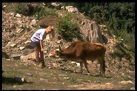 IMG0008