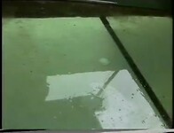 15_schildpadden_boot_lang