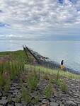 schelde