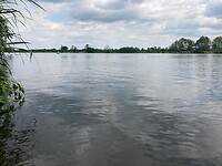 Maas