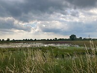 natuur