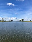 Maas