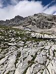 IMG_2089