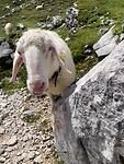 IMG_2092