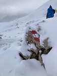 IMG_2122