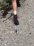 IMG_2330