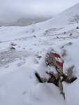 IMG_2672