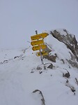 IMG_2736